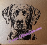 Stickdatei Labrador Nr. 2-2 13x18 