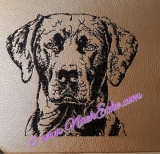 Embroidery Labrador 2-2 5x7" 