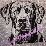 Stickdatei Labrador Nr. 2-2 13x18 