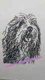 Stickdatei Bearded Collie 6 13x18