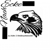 Embroidery bald eagle head 2 5x7" 