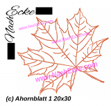 Stickdatei Ahornblatt 1 20x30 / 20x28