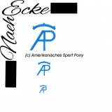 Stickdatei Brandzeichen Amerikanisches Sport Pony 10x10 