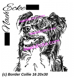 Stickdatei Border Collie 16 20x30 / 20x28 / 20x20 / 18x30