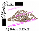 Stickdatei Briard 3 13x18