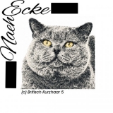 Stickdatei Britisch Kurzhaar 5 PHOTOstitch 13x18 