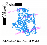 Stickdatei Britisch Kurzhaar 9 10x10