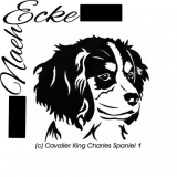 Stickdatei Cavalier King Charles Spaniel 1 13x18