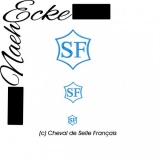 Stickdatei Brandzeichen Cheval de Selle Francais 10x10 