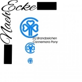 Stickdatei Brandzeichen Connemara Pony 10x10