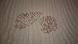 Embroidery Shell 2 5x7