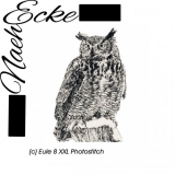 Stickdatei Eule 8 (Uhu) 20x30 XXL Photostitch