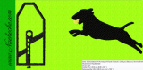 Embroidery Flyball 2 10x10 