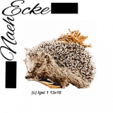 Stickdatei Igel 1 13x18 Photostitch 