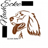 Embroidery Irish Setter 1 10x10 