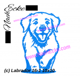 Stickdatei Labrador 16-1 10x10