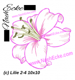 Stickdatei Lilie 2-4 Doodle bunt 10x10