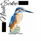 Stickdatei Eisvogel 1 13x18 Photostitch