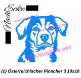 Embroidery Österreichischer Pinscher 3 4x4