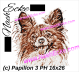 Embroidery Papillon 3 PHOTOstitch 160 x 260