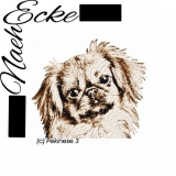 Embroidery Pekinese 3 PHOTOstitch 5x7" 