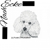 Embroidery Poodle Nr. 2 5x7" PHOTOstitch 