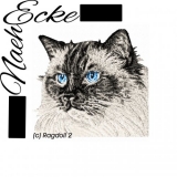 Stickdatei Ragdoll 2 PHOTOstitch 13x18 