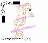 Embroidery Seahorse 2 11.81 x 7.87