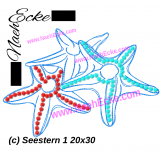 Embroidery Starfish 1 11.81 x 7.87