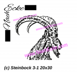 Embroidery Zodiac 11.81 x 7.87