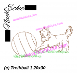 Embroidery dog sport driving ball 11.81 x 7.57