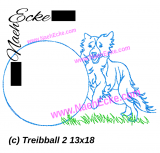 Embroidery dog sport driving ball 2 5x7