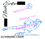 Embroidery Volleyball 1 11.81 x 7.87