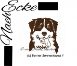 Embroidery Bernese Mountain Dog 10x10 